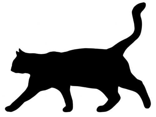 Kashpire 